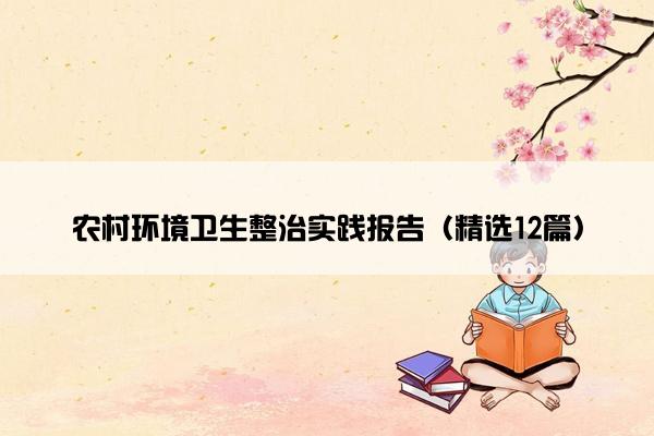 农村环境卫生整治实践报告（精选12篇）