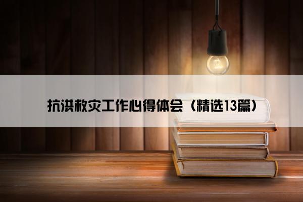 抗洪救灾工作心得体会（精选13篇）