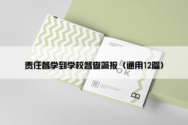 责任督学到学校督查简报（通用12篇）