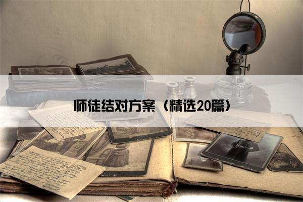 师徒结对方案（精选20篇）