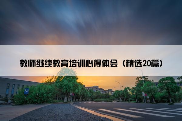 教师继续教育培训心得体会（精选20篇）