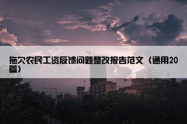拖欠农民工资反馈问题整改报告范文（通用20篇）
