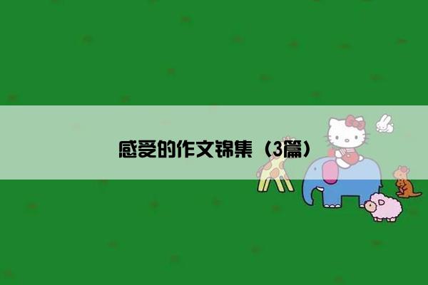 感受的作文锦集（3篇）