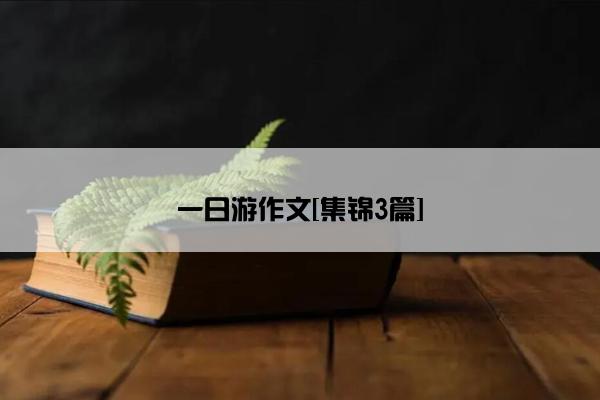 一日游作文[集锦3篇]