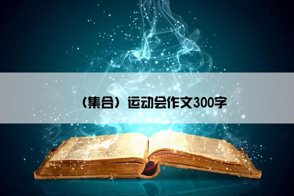 （集合）运动会作文300字