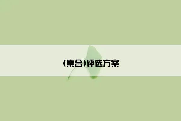 (集合)评选方案