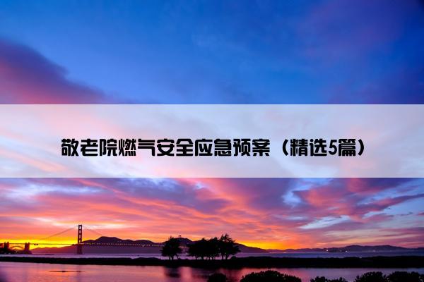 敬老院燃气安全应急预案（精选5篇）