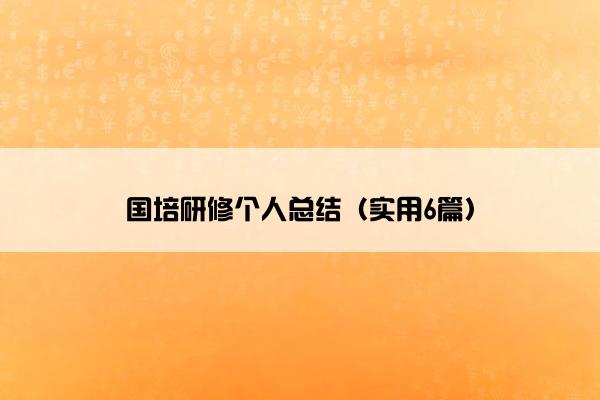 国培研修个人总结（实用6篇）