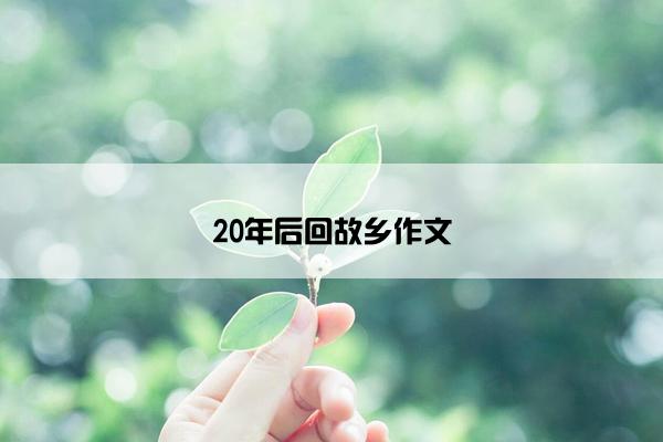 20年后回故乡作文
