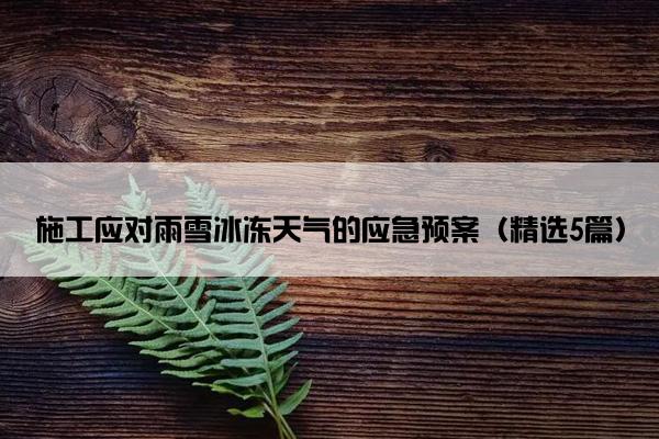 施工应对雨雪冰冻天气的应急预案（精选5篇）