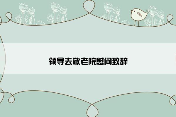 领导去敬老院慰问致辞