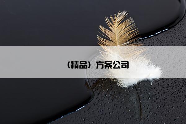 （精品）方案公司
