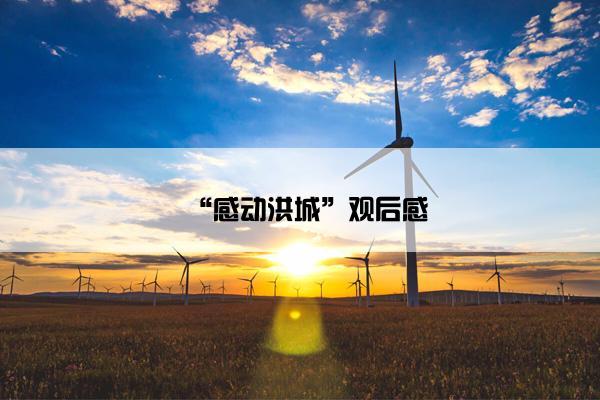 “感动洪城”观后感