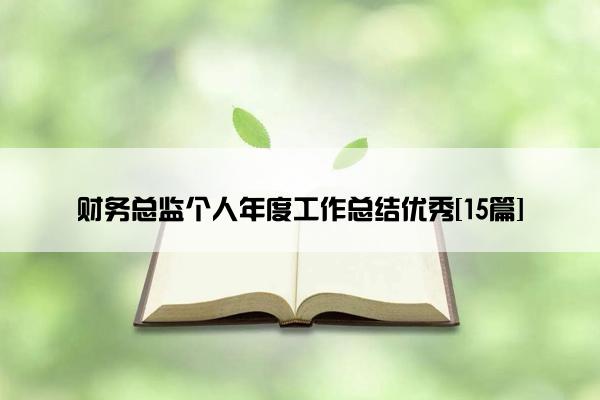 财务总监个人年度工作总结优秀[15篇]