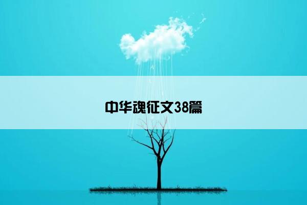 中华魂征文38篇