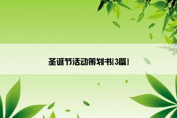圣诞节活动策划书[3篇]