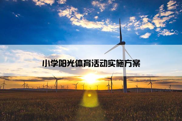 小学阳光体育活动实施方案