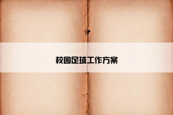 校园足球工作方案