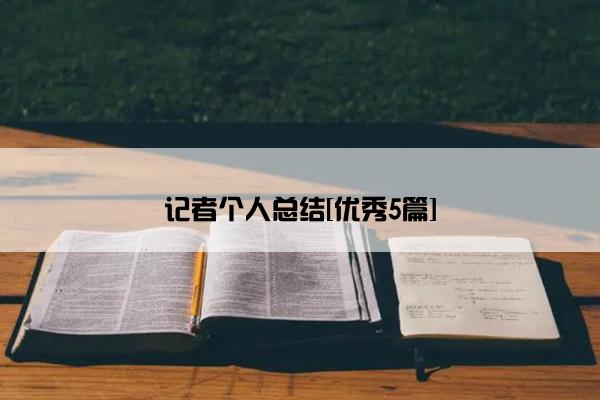 记者个人总结[优秀5篇]
