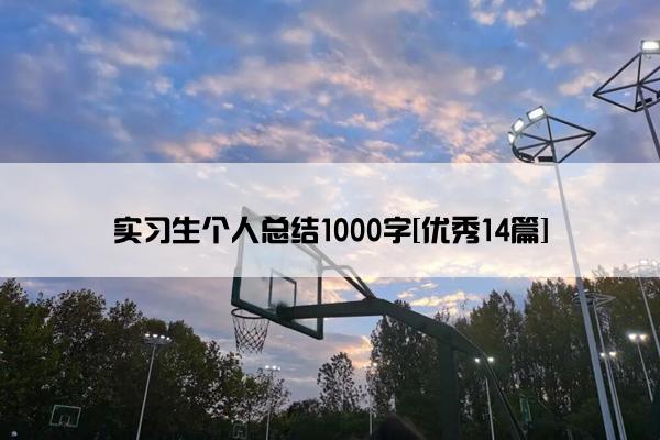 实习生个人总结1000字[优秀14篇]