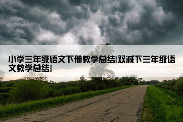 小学三年级语文下册教学总结[双减下三年级语文教学总结]