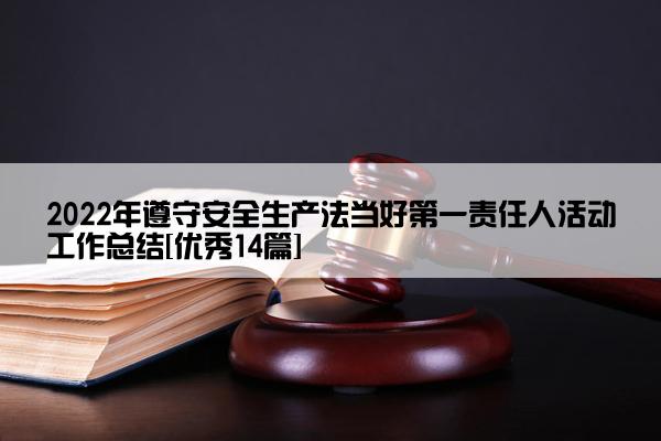 2022年遵守安全生产法当好第一责任人活动工作总结[优秀14篇]