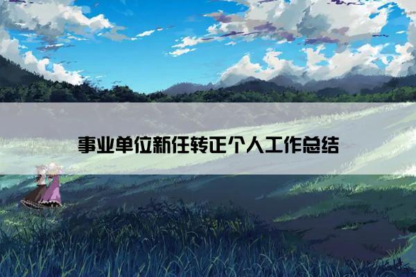 事业单位新任转正个人工作总结