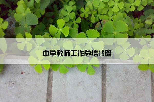中学教师工作总结15篇