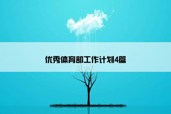 优秀体育部工作计划4篇