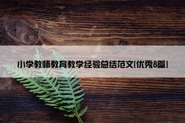 小学教师教育教学经验总结范文[优秀8篇]