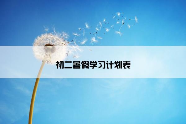 初二暑假学习计划表
