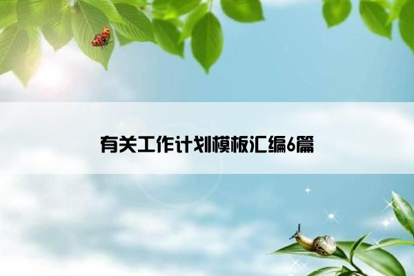 有关工作计划模板汇编6篇