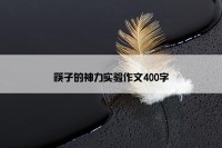 筷子的神力实验作文400字