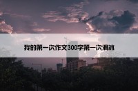 我的第一次作文300字第一次滑冰