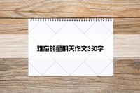 难忘的星期天作文350字