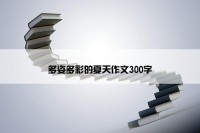 多姿多彩的夏天作文300字