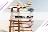 参观活动日记300字