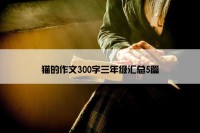 猫的作文300字三年级汇总5篇