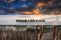 我的心爱之物作文450字