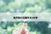 秋天的小花园作文300字