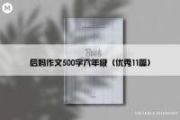 后妈作文500字六年级（优秀11篇）