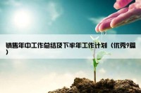 销售年中工作总结及下半年工作计划（优秀9篇）