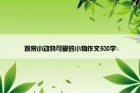 观察小动物可爱的小狗作文500字