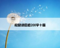 松鼠读后感200字十篇