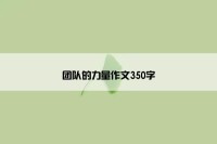 团队的力量作文350字