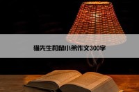 猫先生和鼠小弟作文300字