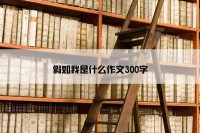 假如我是什么作文300字