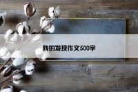 我的发现作文500字