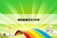 我的老爸作文300字