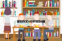 夏的作文600字初中4篇